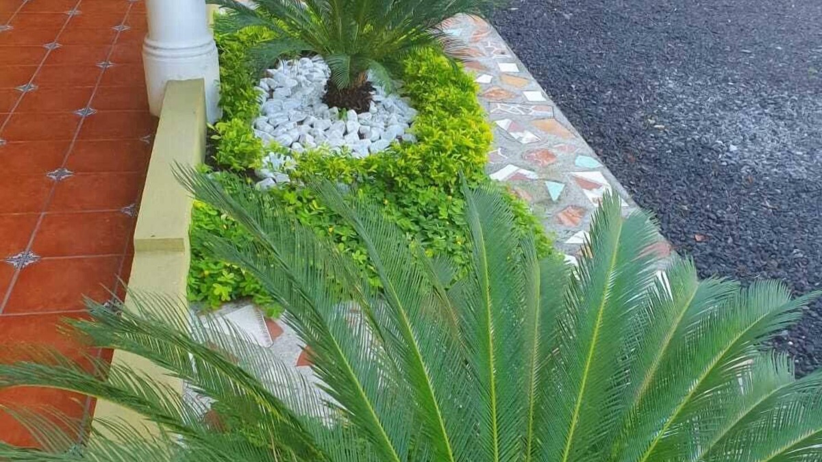 Sipacate Hotel | Hotel La Iguana Dorada
