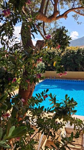 Cala Gonone Hotel | Hotel La Playa