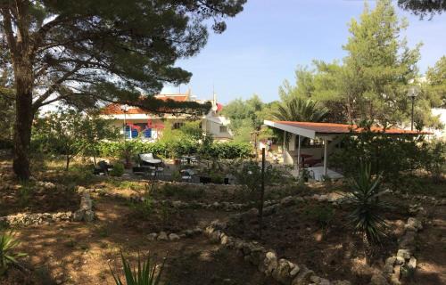 Tremiti Islands Hotel | Hotel Le Viole