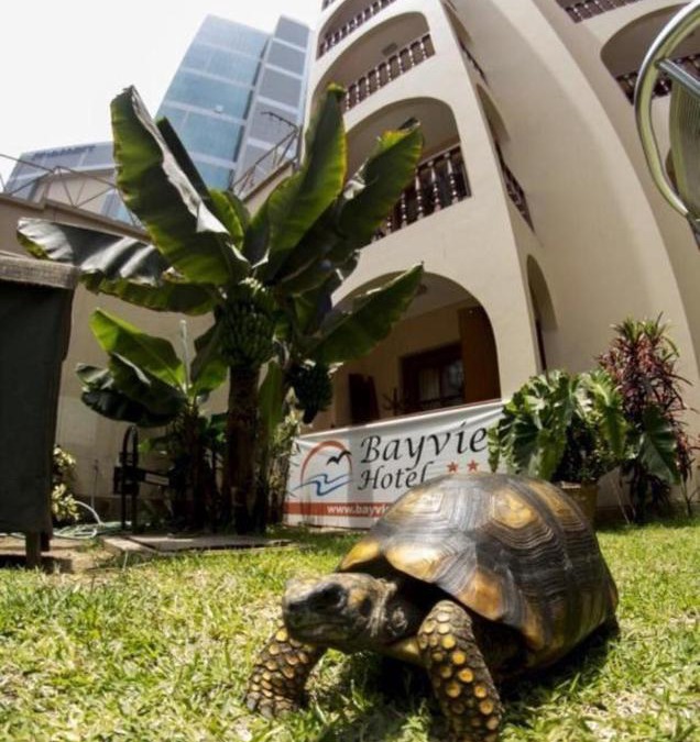 Armendariz Hotel | Hotel Lima Bayview Miraflores