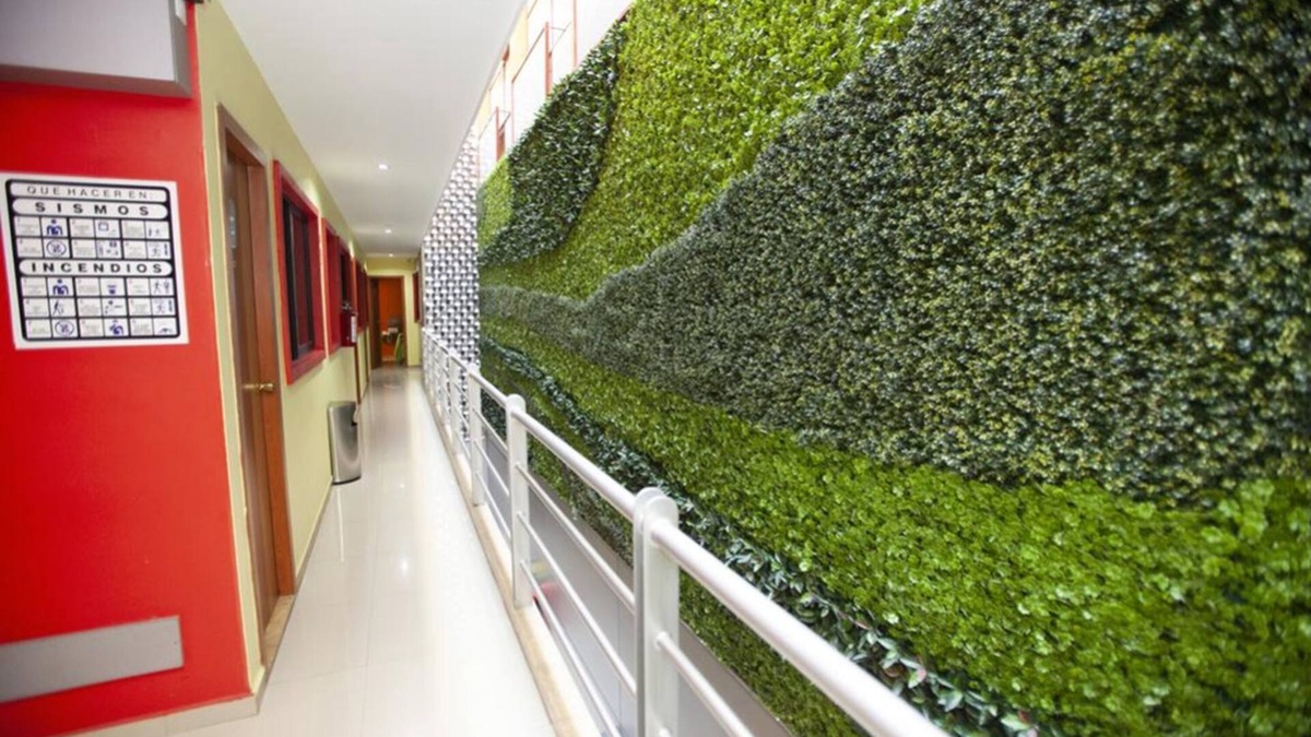 San Miguel Chapultepec Hotel | Hotel Lira - Solo Adultos