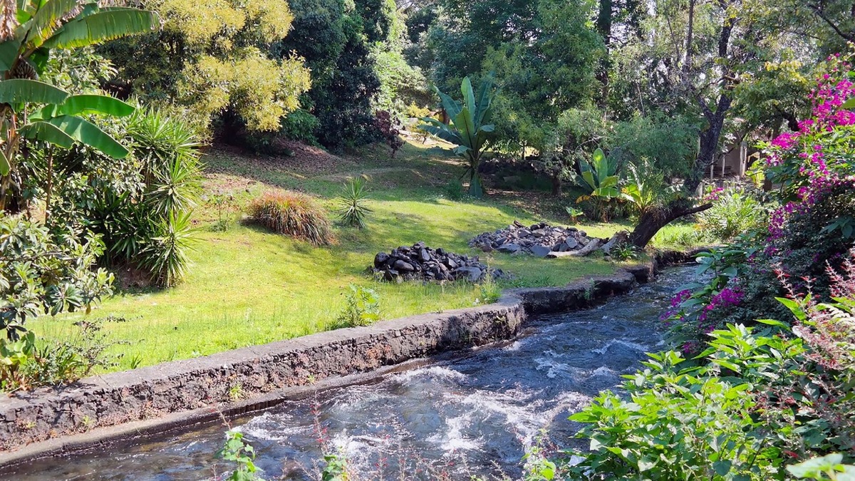 Centro Hotel | Hotel Los Cedros