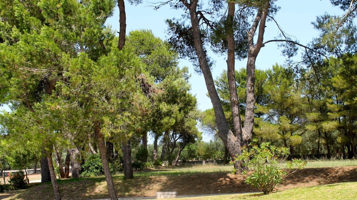 Otranto Hotel | Hotel Masseria Fabrizio