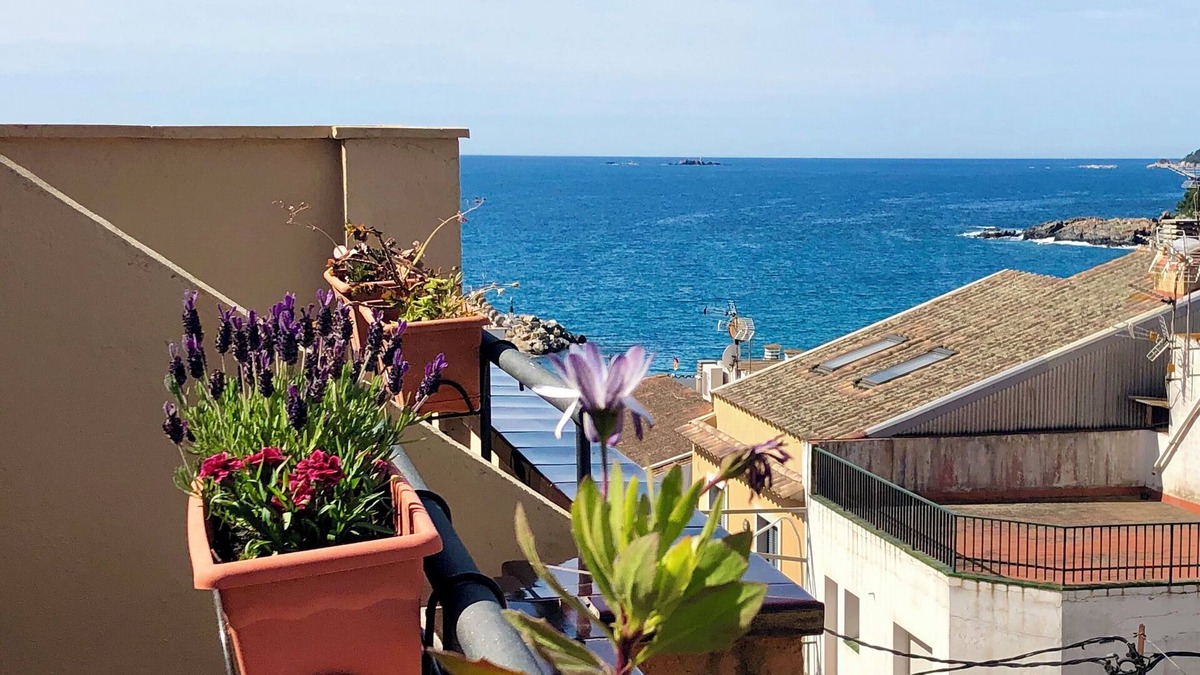 Llafranc Hotel | Hotel Medium Montecarlo