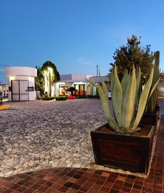 Cedral Hotel | Hotel Mina Real - Cedral