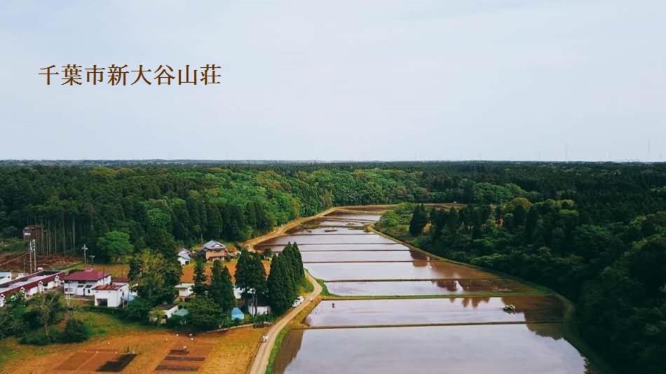 Wakaba Hotel | Hotel New Otani