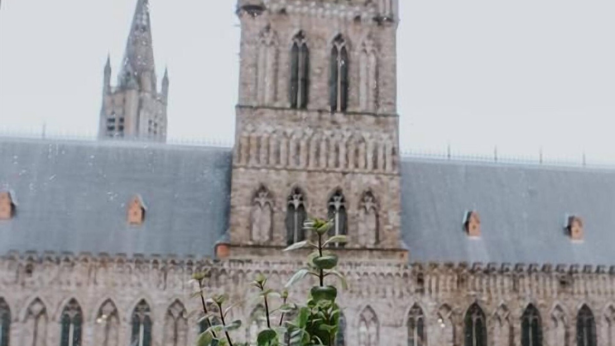 Ypres Hotel | Hotel New Regina