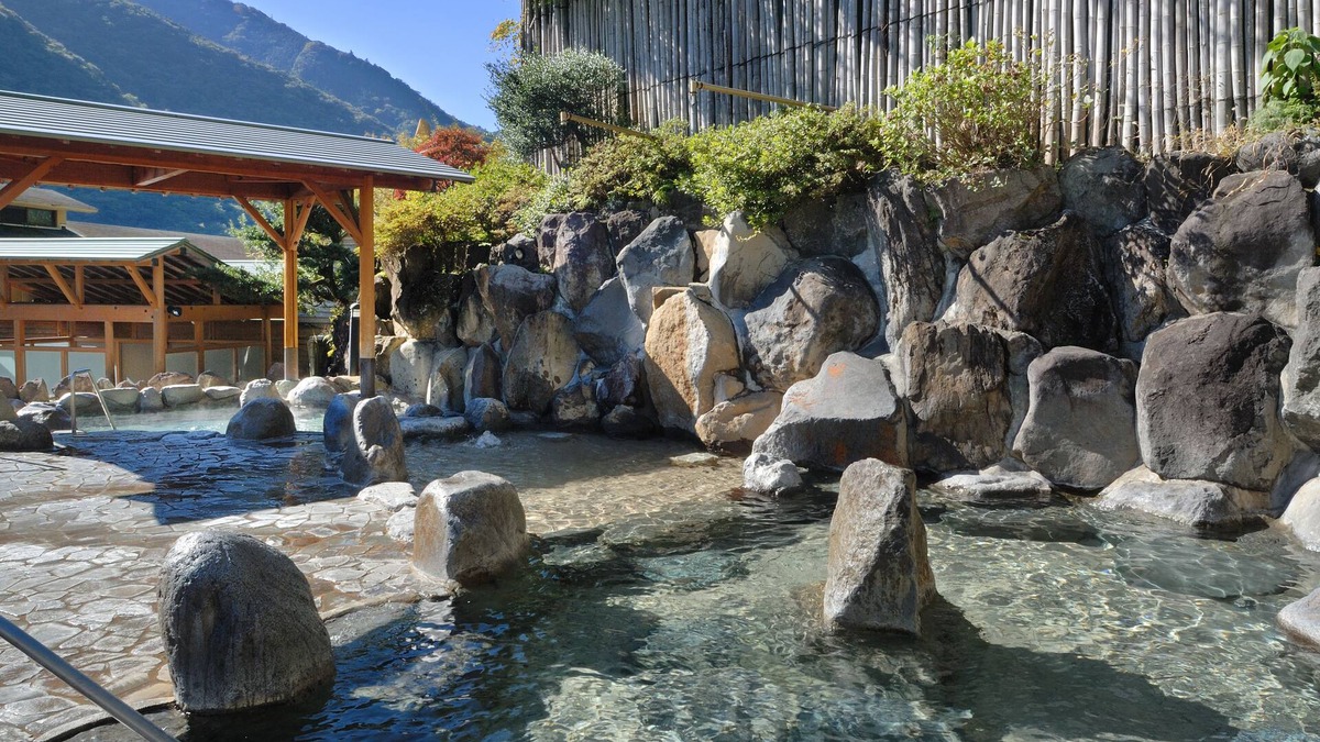 Hakone Hot Springs House | Hotel Okada