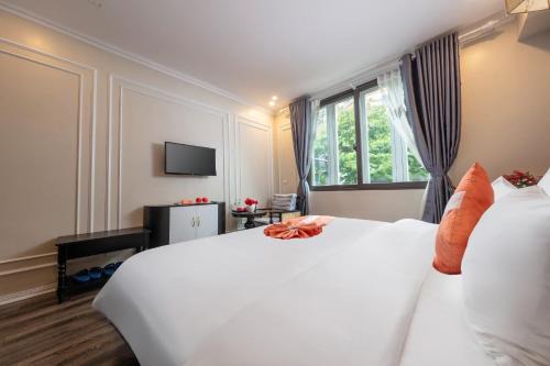Hang Bo Hotel | Hotel Omina Hanoi Travel