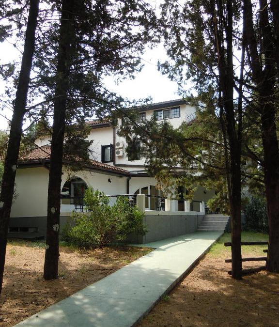 Zavala Hotel | Hotel Park