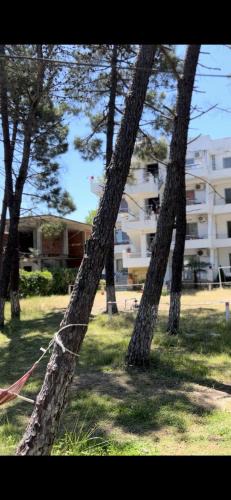 Velipoje Hotel | Hotel PEJA