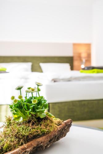 Altenburg Hotel | Hotel-Pension Treppengasse Nr 6