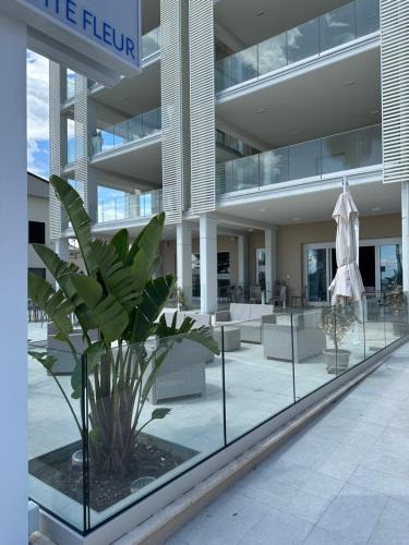Alba Adriatica Hotel | Hotel Petite Fleur
