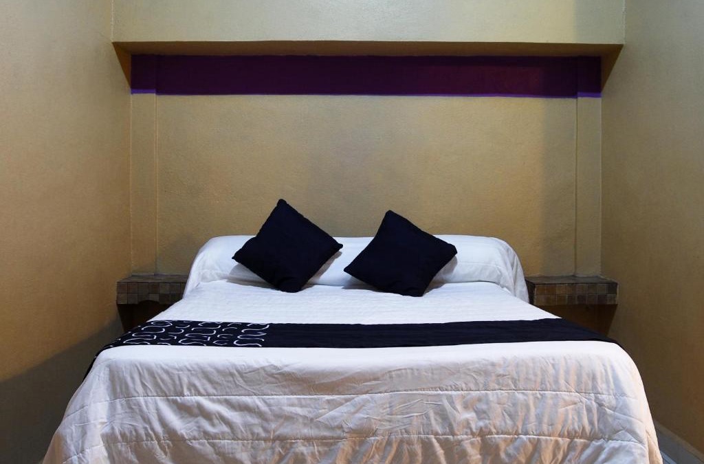 Monterrey Hotel | Hotel Platino