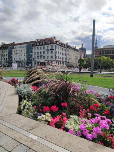 Wurzburg City Centre Hotel | Hotel Regina