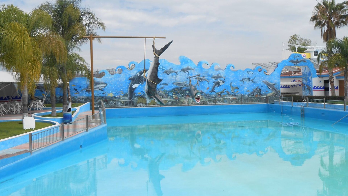 Silao Hotel | Hotel Splash Inn