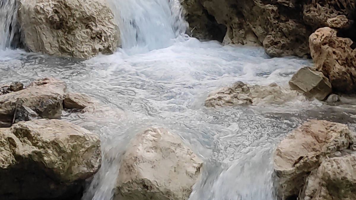 Bullawala Hotel | Hotel StudioZ Sahastradhara