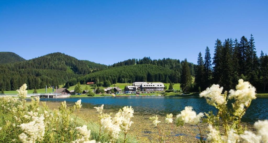 Fladnitz an der Teichalm Hotel | Hotel Teichwirt