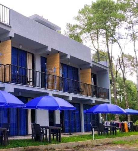 Shekhvetili House | Hotel Umbrella