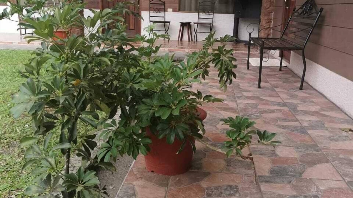 Aguas Zarcas Hotel | Hotel Vale's
