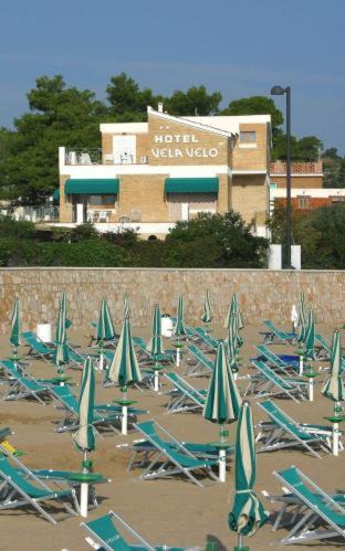San Lorenzo Hotel | Hotel Vela Velo Club Vieste