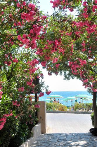 Naregno Hotel | Hotel Villa Rodriguez