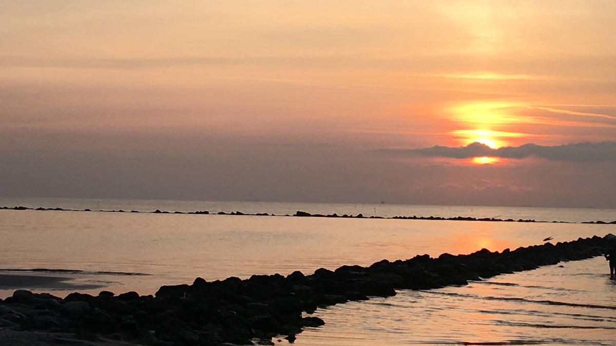 Punta Marina Hotel | Hotel X