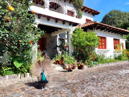 Santa Ana Hotel | Hotel y Jardines Casa Búho