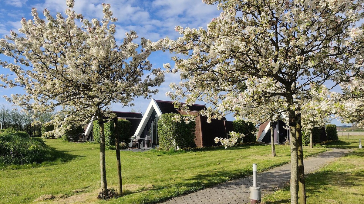 Warmenhuizen House | Hotelhuisje Warmenhuizen #E