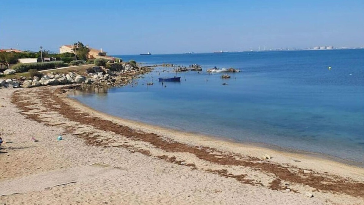 Port-de-Bouc Apartment | House 20 meters from the sea, 5 km from Martigues!