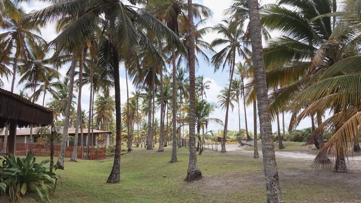 Olivenca House | house by the sea with excellent structure for family leisure