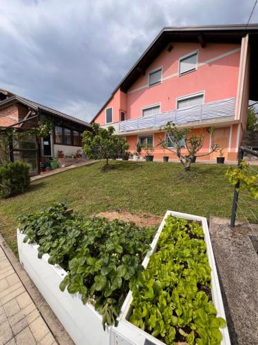 Mali Radic House | House Crkvina