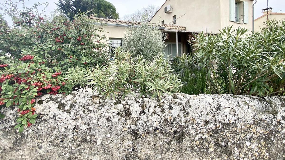 Saint-Maximin House | House