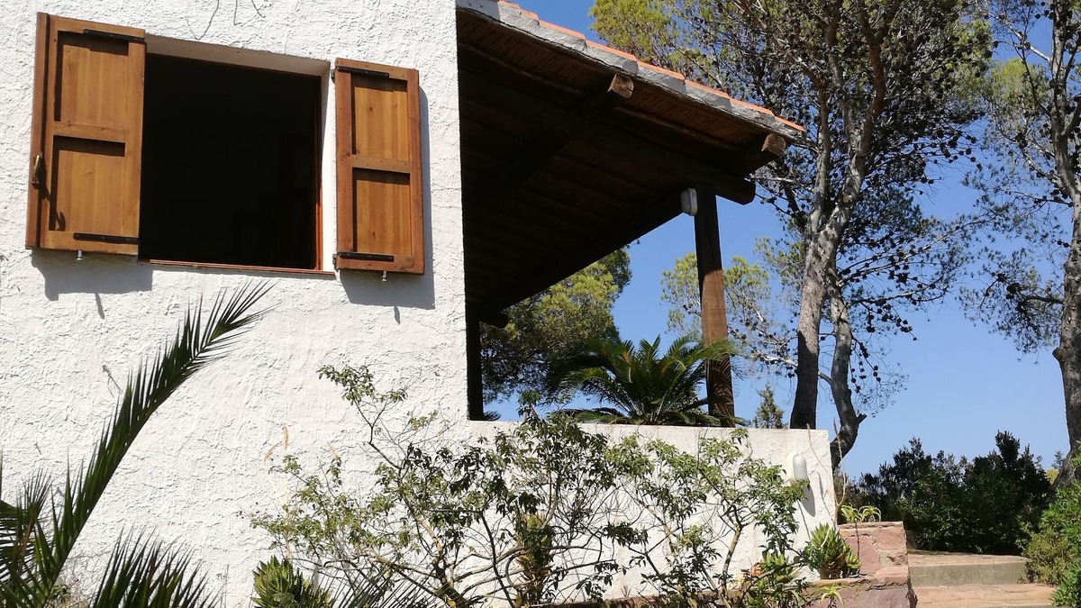 Carloforte House | House immersed in the pine forest