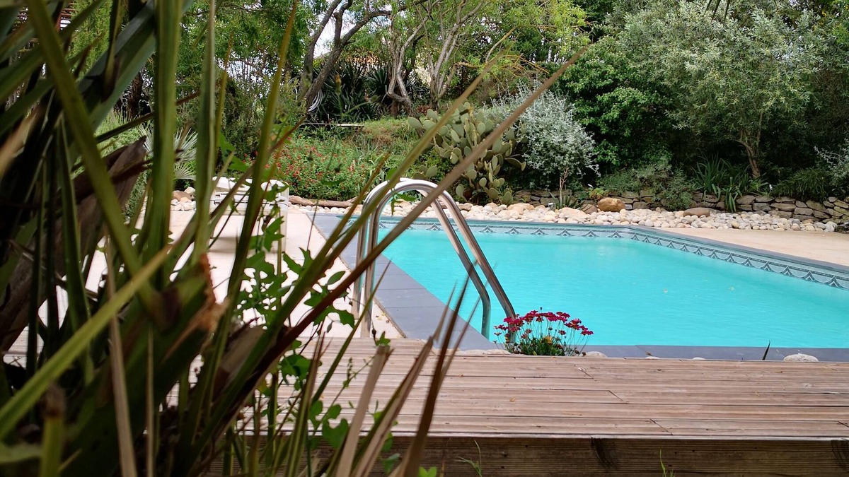 Carcassonne House | House in its wild garden