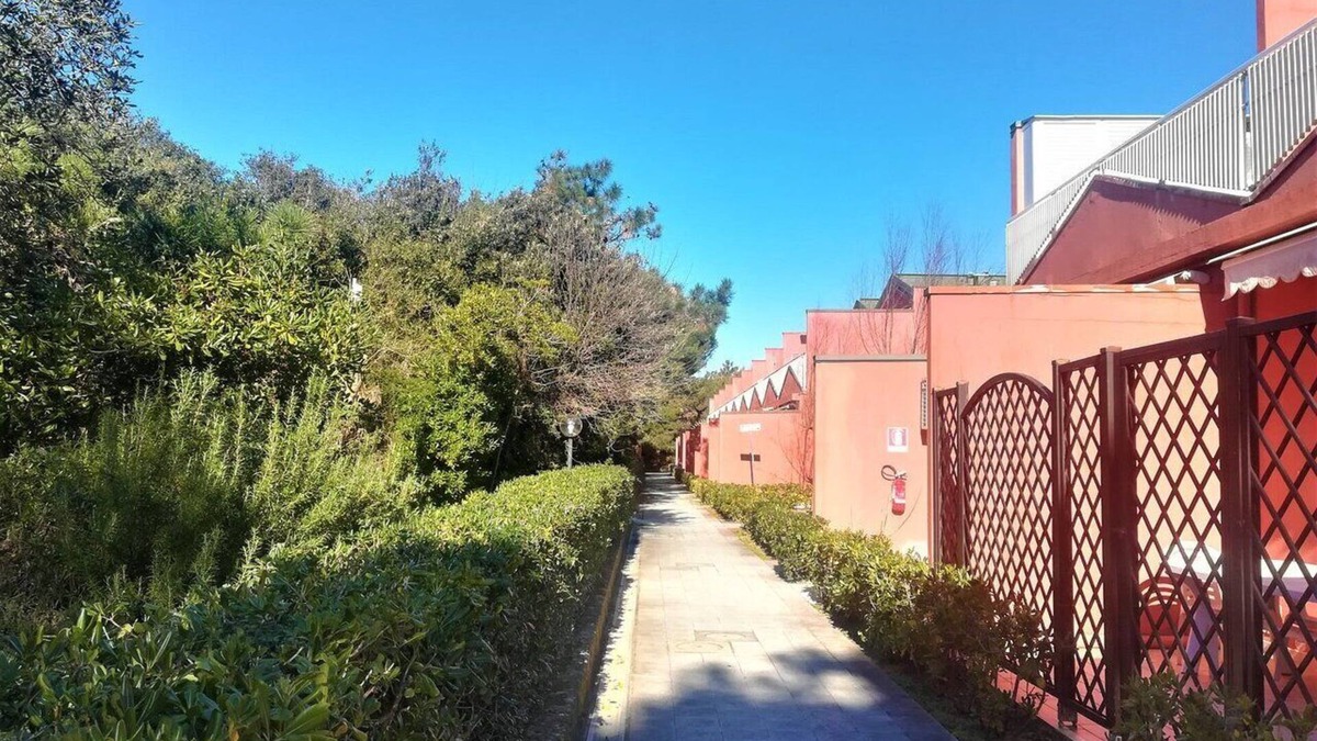 Marina di Pisa Apartment | House in Marina