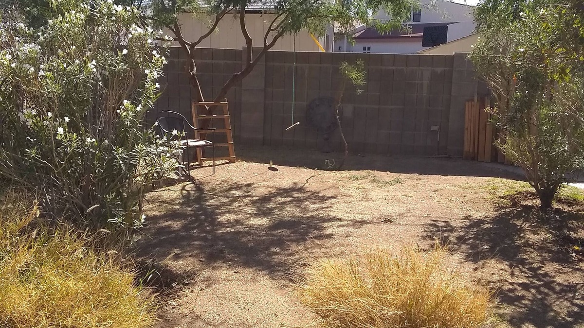 East Mesa House | House in Mesa 45 minutes to chase field, 1:15 minutes to Glendale stadium