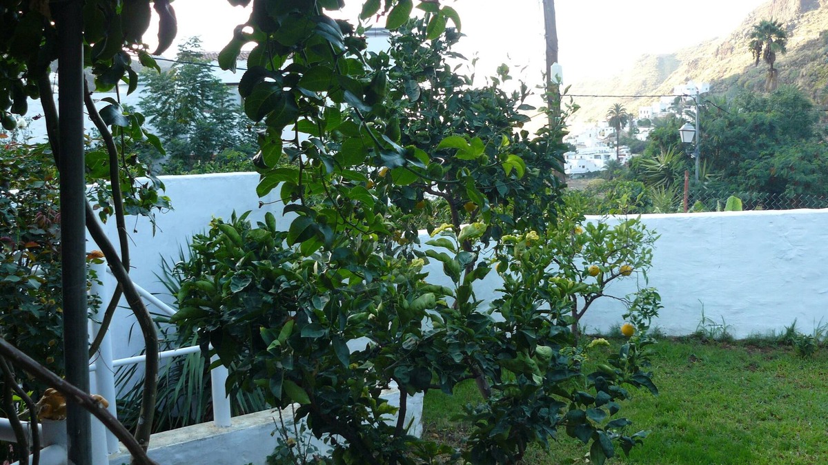 Agaete House | House in the Agaete Valley