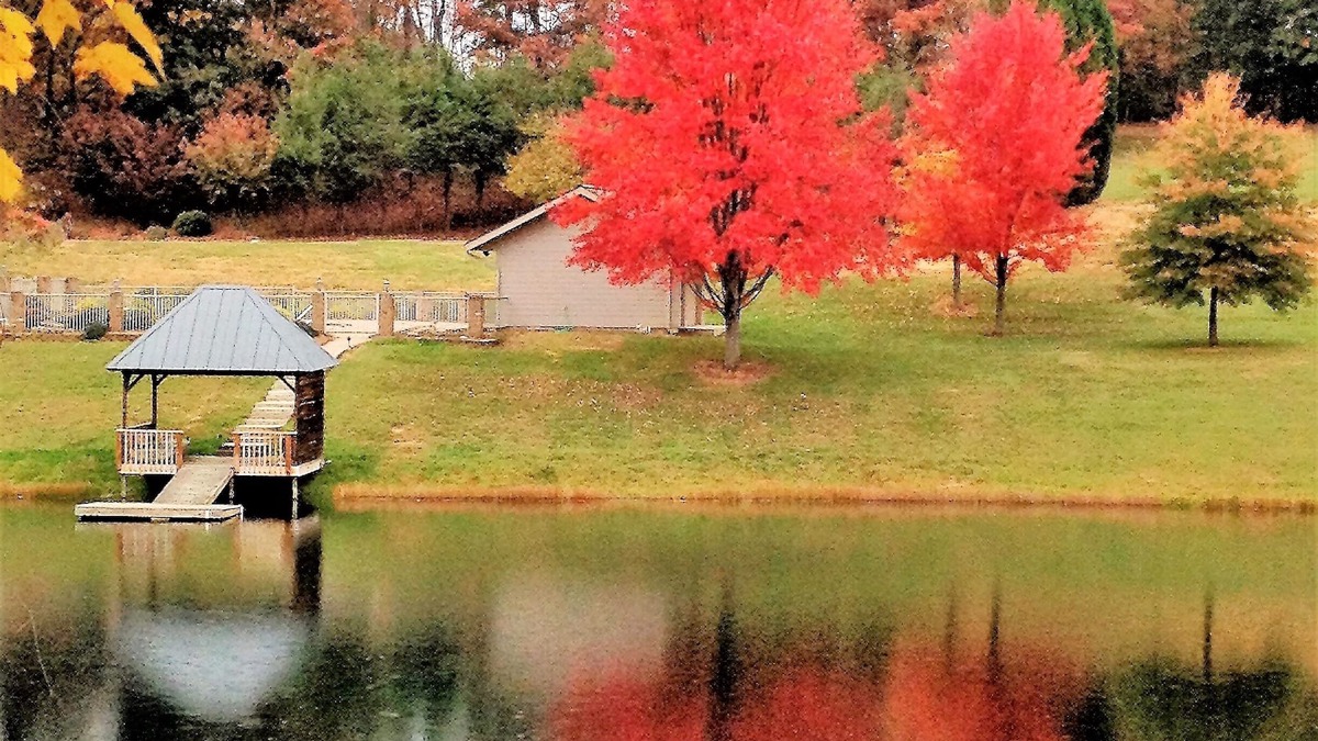 Canton House | House in the Blue Ridge Mountains with a natural 2.5 acre natural pond.