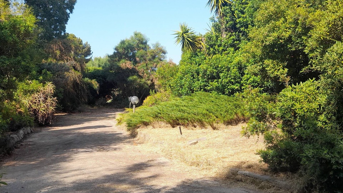 San Vero Milis House | House in the green between sea and countryside