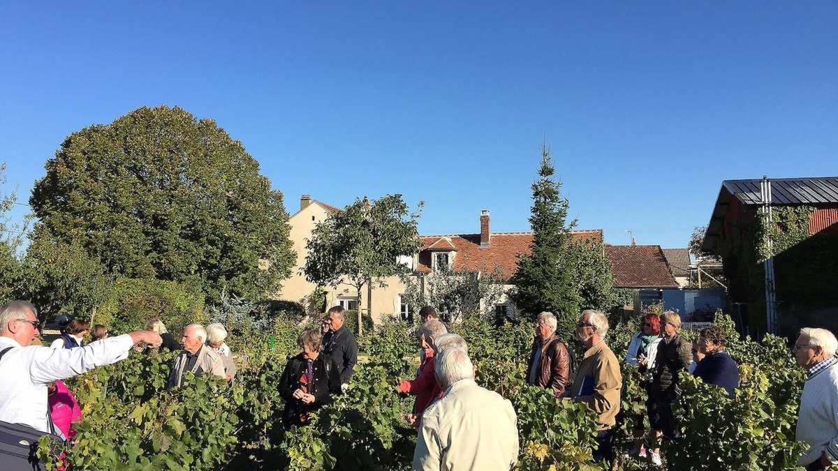 Chablis Apartment | House in the heart of the village of Chablis