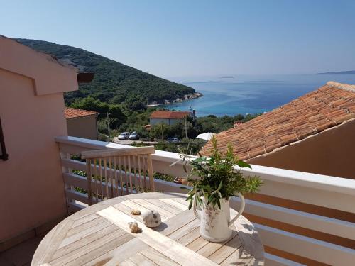 Miholascica House | House Mihaela