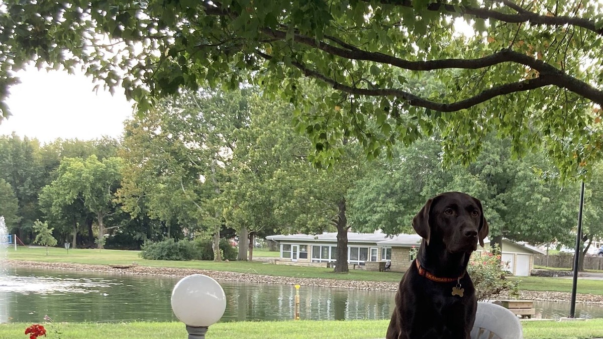 Emporia House | House, no steps, on a lake