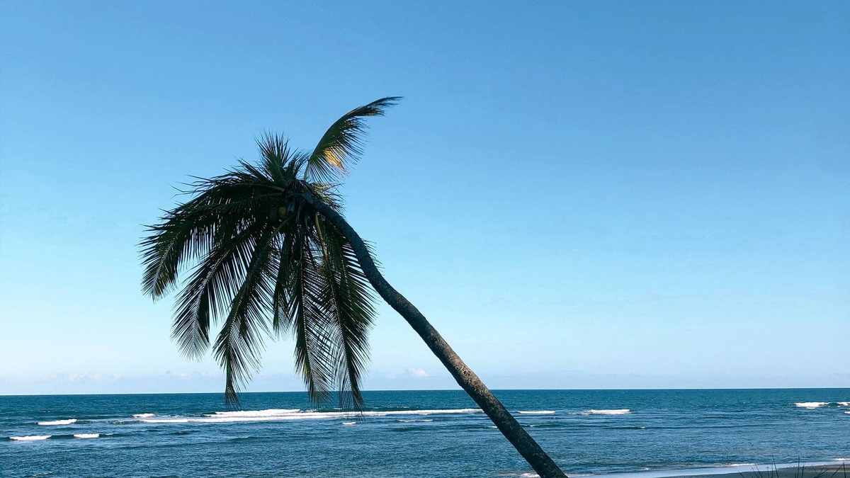 Marau House | House on the beach - Península de Maraú - Bahia