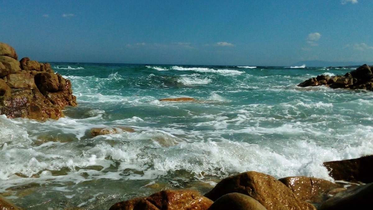Cala Liberotto Apartment | House of Arbutus just steps from the beautiful sea of ​​Calaliberotto