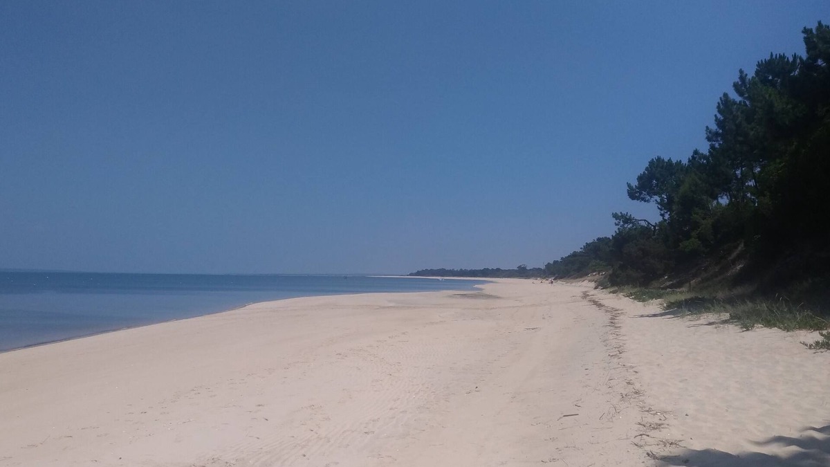 Carvalhal Condo | House on the beach Soltroia