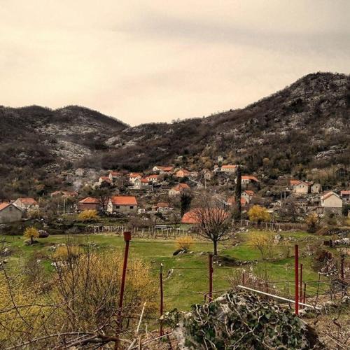Donje Polje House | house on the hill