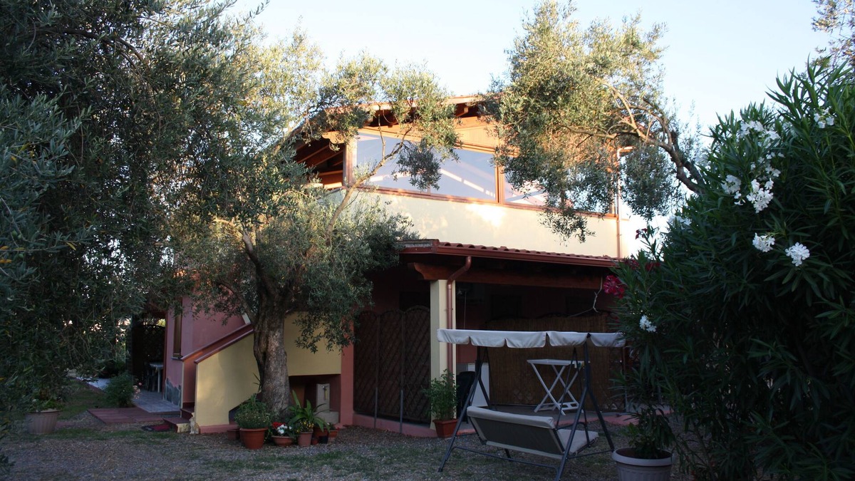 Iglesias Historic Centre Apartment | House The Ancient Olive Tree, nestled in a centuries-old olive grove with large garden around