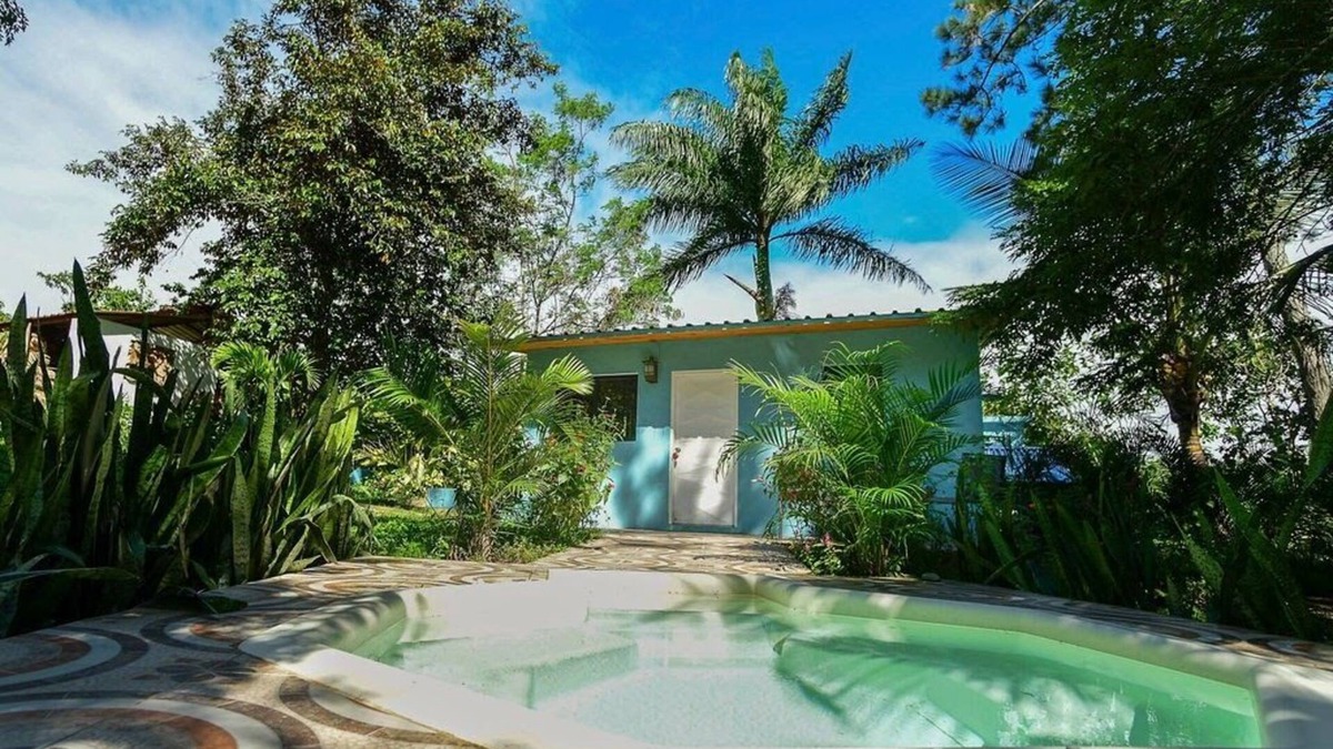 La Vega Province House | House under palm trees (pool and whirlpool included)