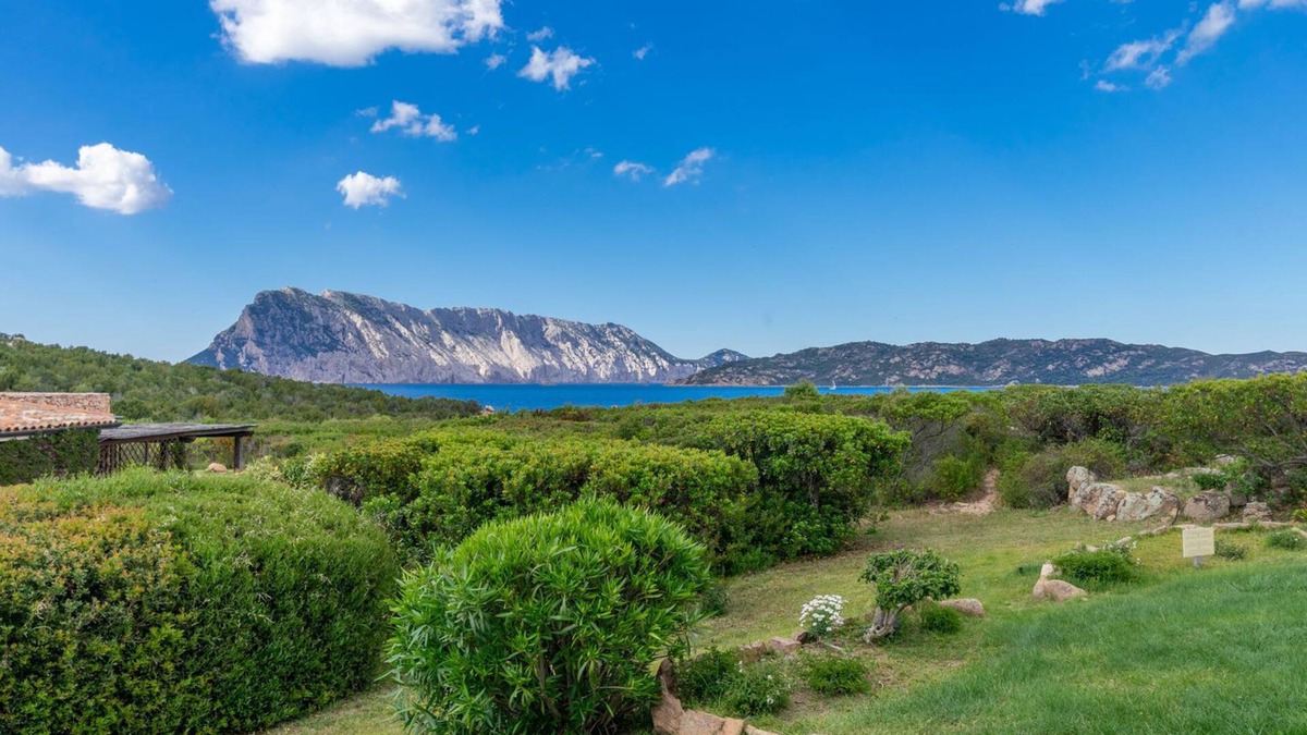 San Teodoro House | House/Villa - Coda CavalloHouse with garden